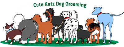 dog grooming animation