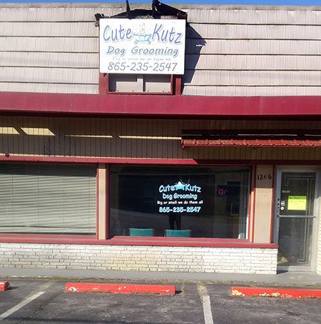 dog grooming shop